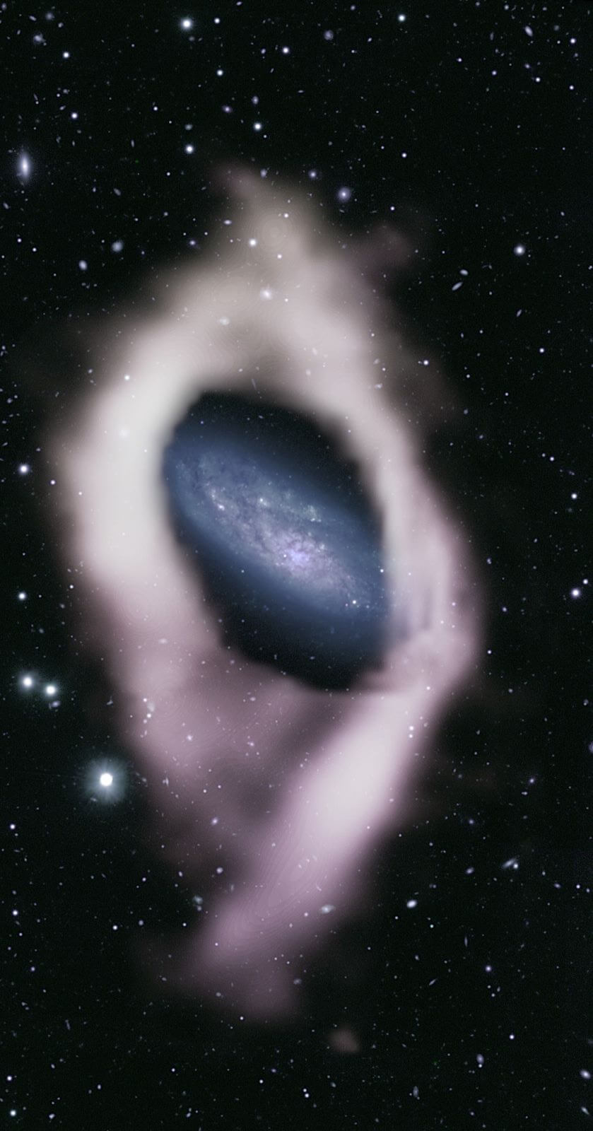 隠れた極リング銀河？ おとめ座の渦巻銀河を取り囲むリング構造を発見