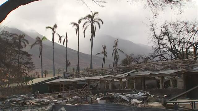 ハワイ山火事 DNA照合で死者数97人に修正 行方不明は31人