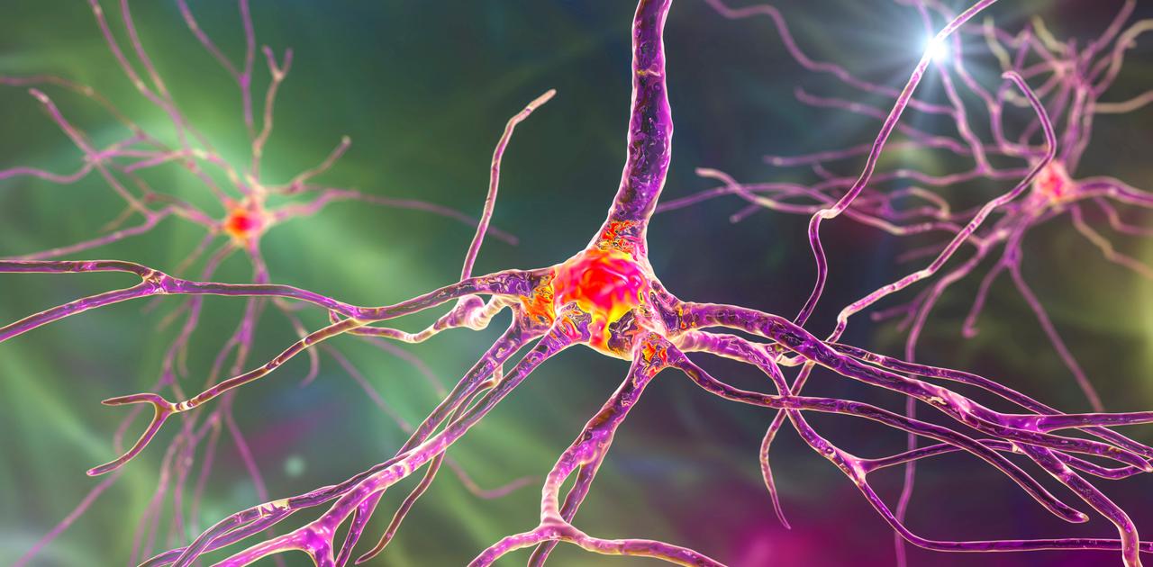人間の脳細胞をマッピングした｢人体脳アトラス｣…神経疾患の治療法開発につながるかもしれない
