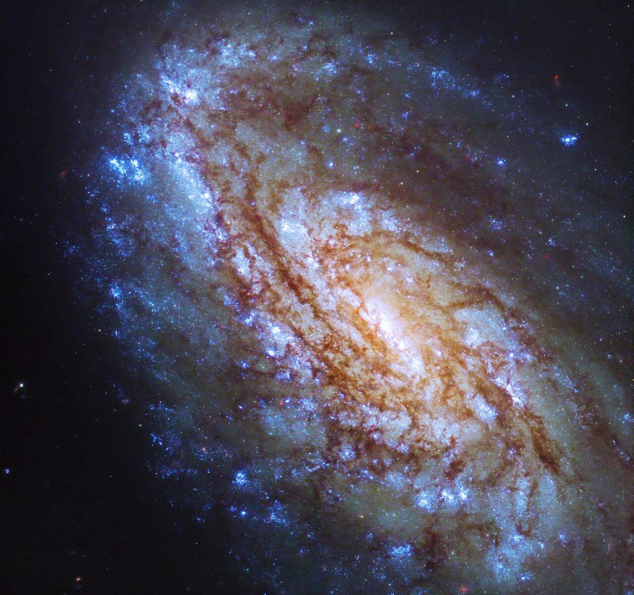 周囲からの影響を受けた“おとめ座銀河団”の渦巻銀河 ハッブル宇宙望遠鏡で撮影