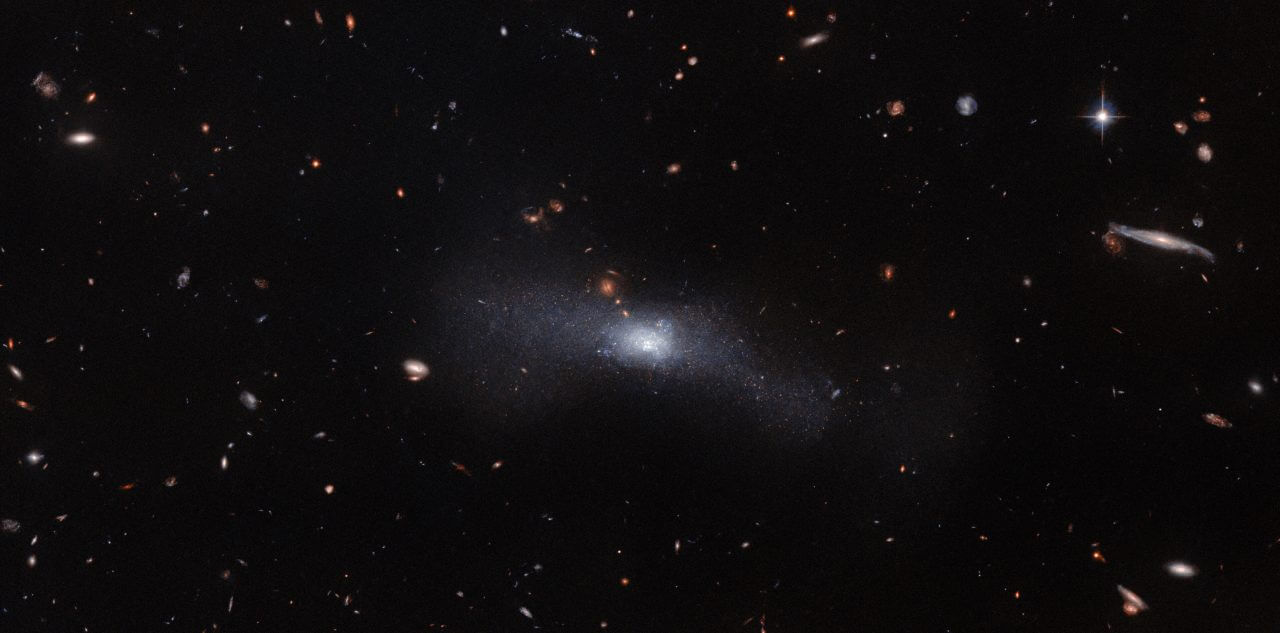 宇宙に結ばれた淡きリボン ハッブル宇宙望遠鏡で撮影した“おおぐま座”の銀河