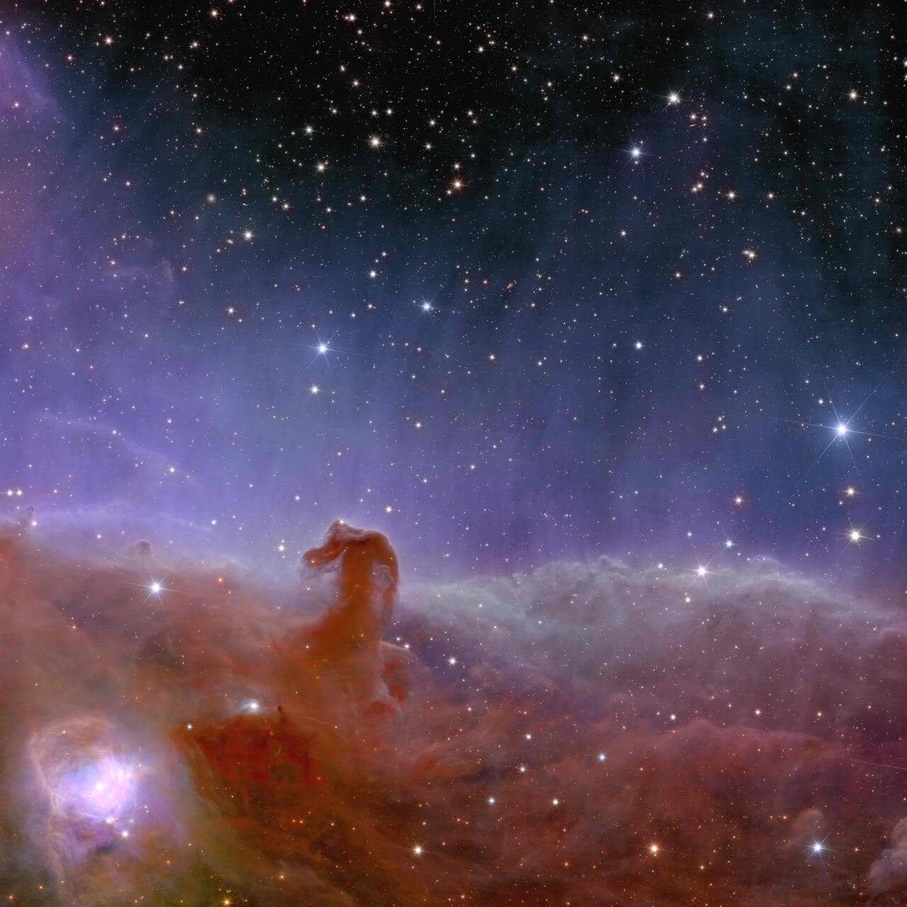 ESAのユークリッド宇宙望遠鏡が撮影したオリオン座の「馬頭星雲」