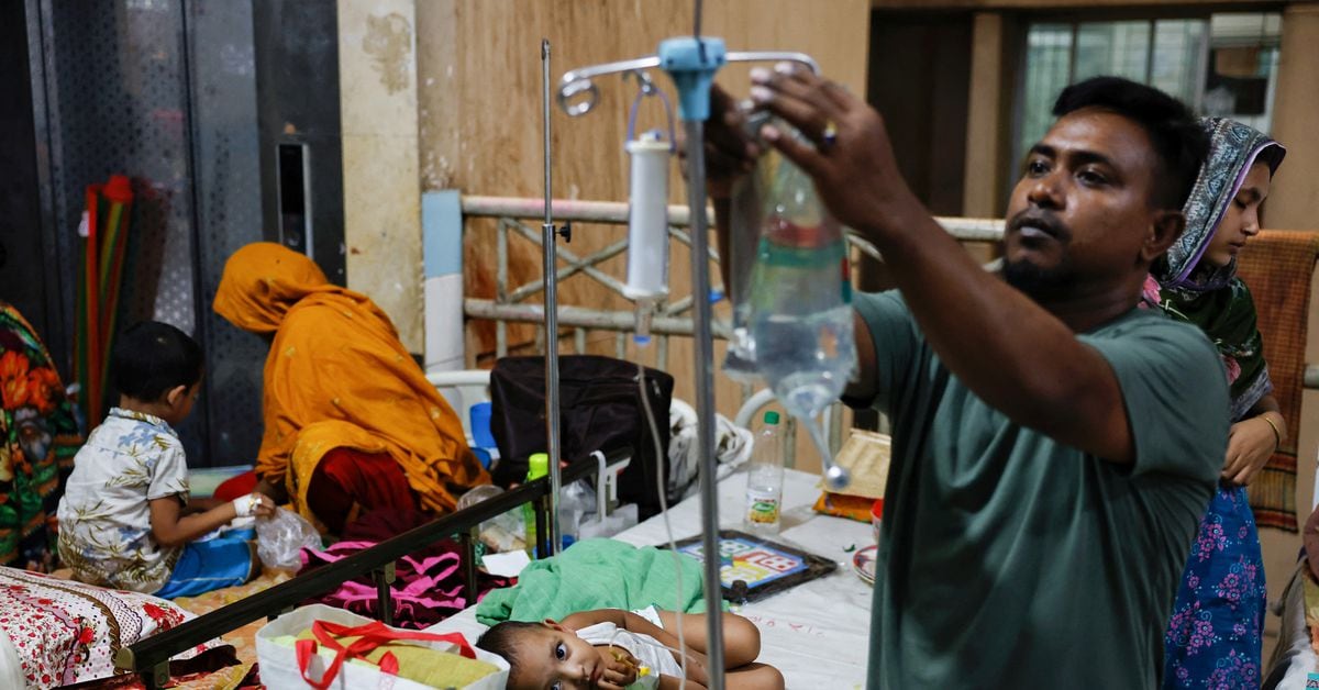 バングラデシュのデング熱死者が過去最多、気候変動が影響