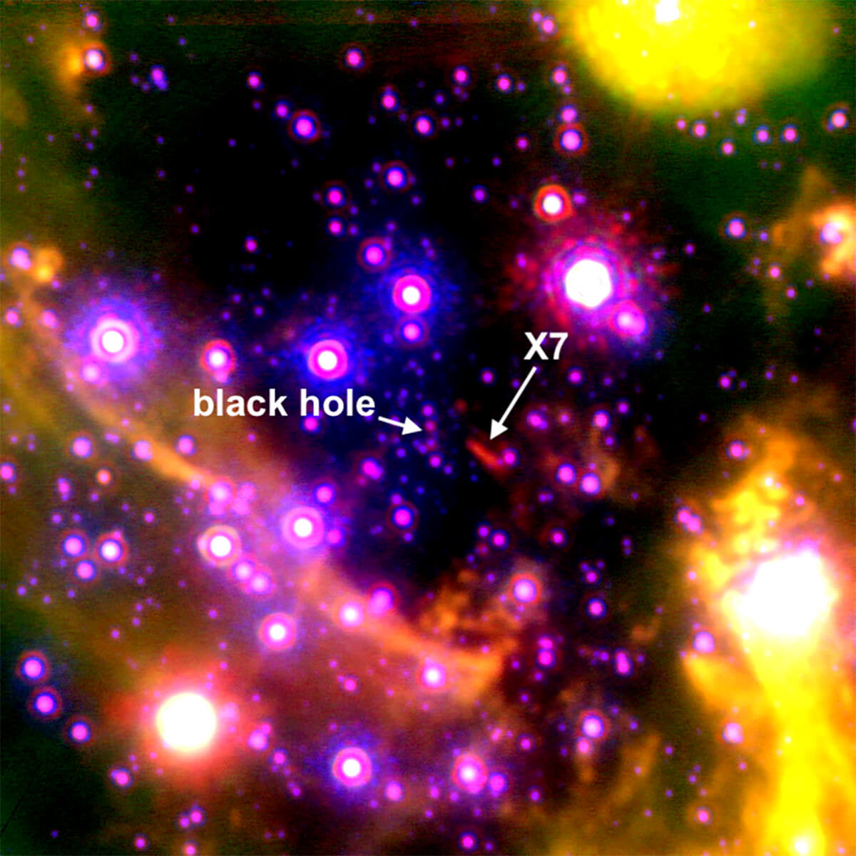天の川銀河中心付近の謎の天体「X7」【今日の宇宙画像】