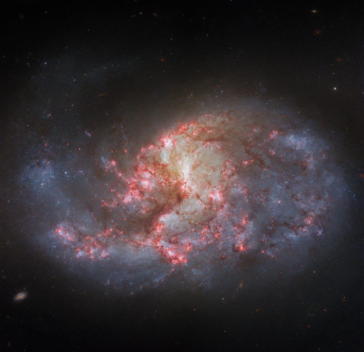 ゆるやかに渦巻く南天の銀河「NGC 1385」 ハッブル宇宙望遠鏡で撮影