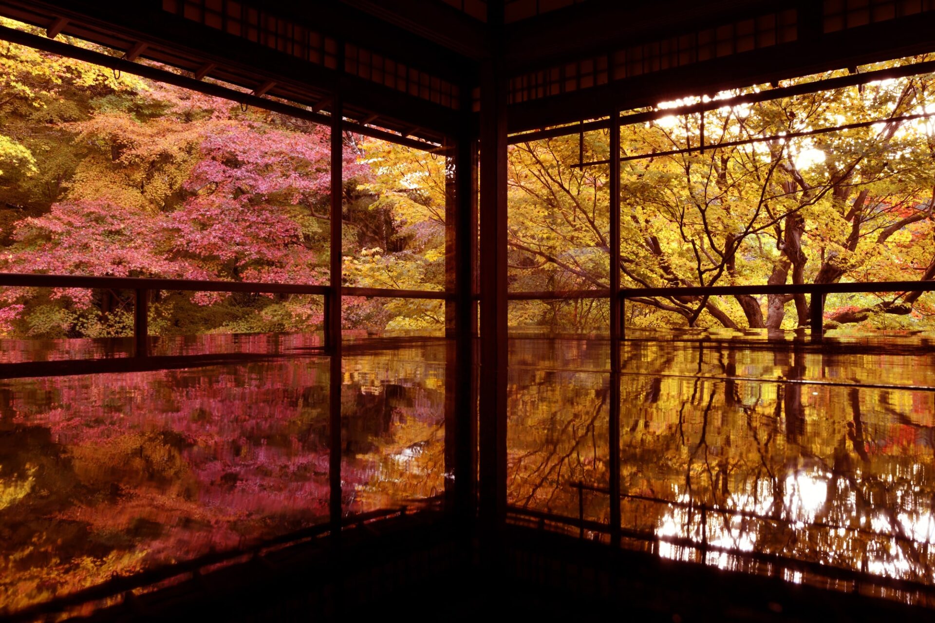 「外国人が秋に訪れたい都道府県」ランキングTOP7！ 第1位は「京都」【2023年最新調査結果】