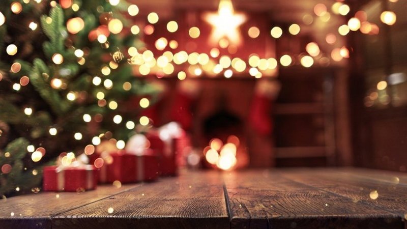 「恐ろしく臭い…」自宅のクリスマスツリーの中でくつろぐオポッサムを発見！ その衝撃ストーリーが話題に