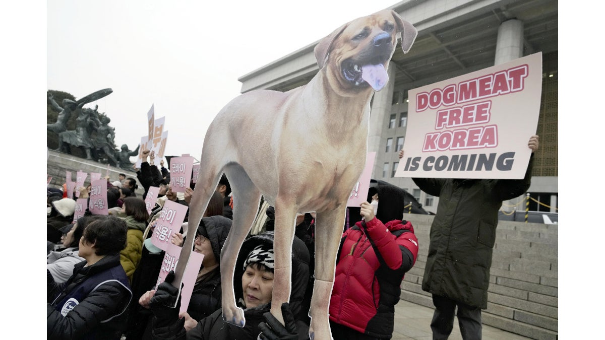韓国伝統の「犬肉食」禁止、国会が法案可決…愛犬家の大統領夫人も法制化を後押し