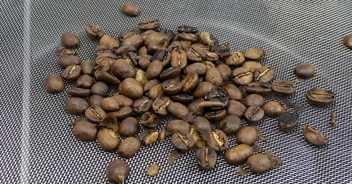 人生初めて自分でコーヒー豆を焙煎してみたらカンタンでビックリした！ 今まさに「コーヒー沼」の淵に立つ