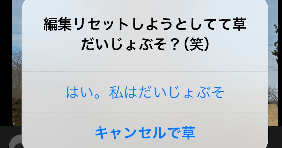 【意味不明】写真加工アプリ「モザイク」のリセット文言は10種類から選べる / 秋田弁・関西弁・厨二病など