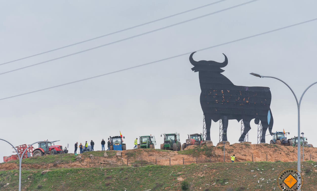 スペイン農家の怒りは頂点に 各地に広まる抗議活動のワケ