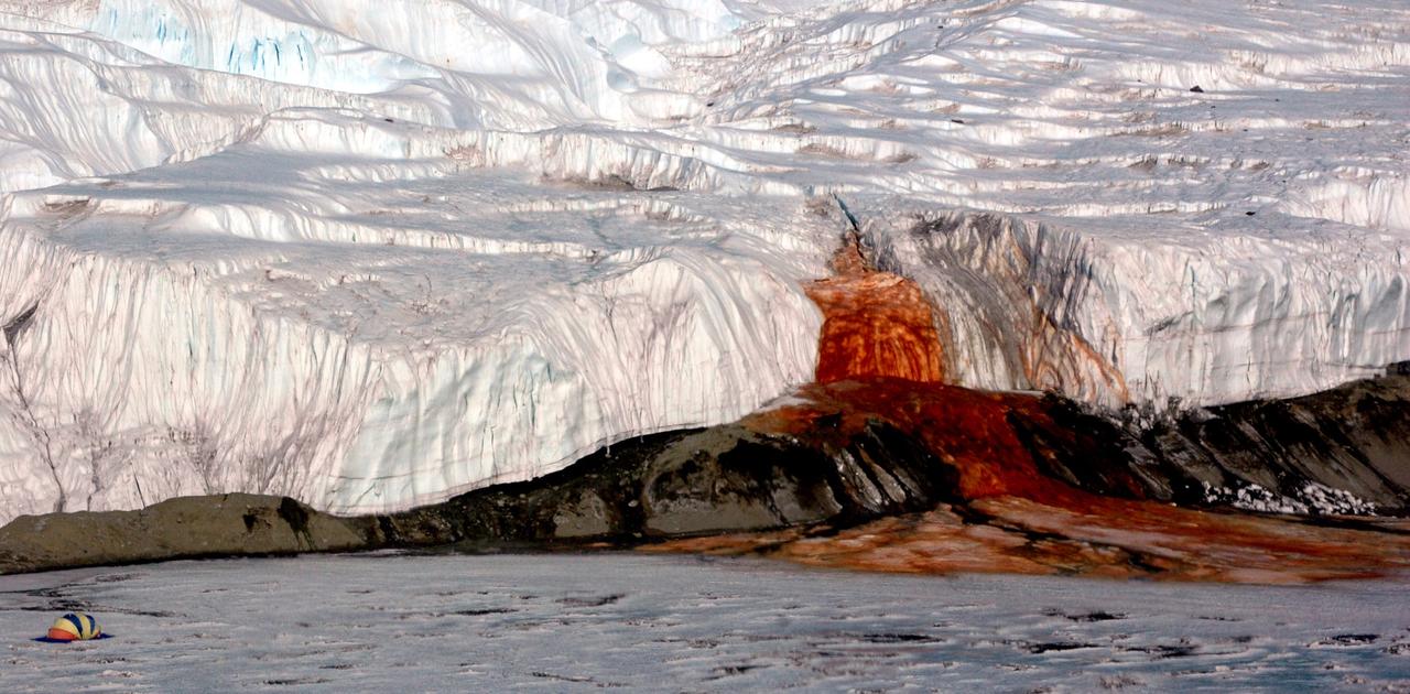 南極で｢血の滝｣が発生するメカニズムを科学者が解明
