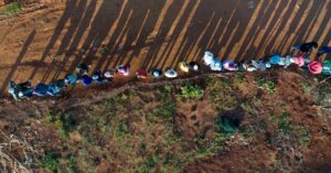 南ア総選挙、与党ＡＮＣが過半数割れの公算 開票進む