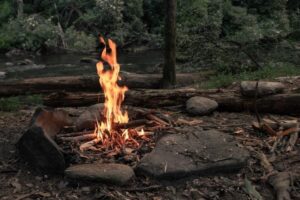 人類史上最大の出会い、人はなぜ「炎」を使うようになったのか（ギズモード・ジャパン）