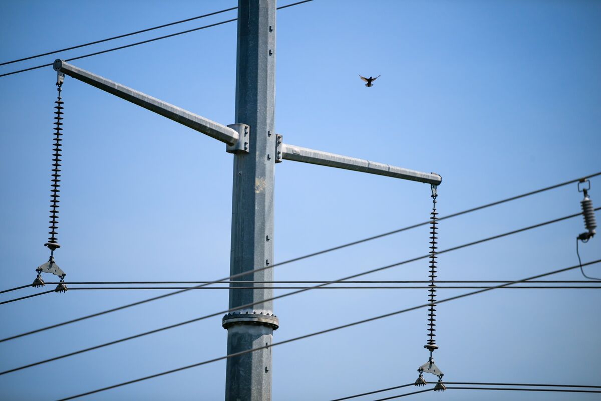 電気代の高騰、米選挙の争点に浮上－トランプ氏の再生エネ敵視も裏目