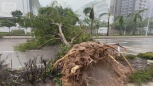 「スーパー台風」直撃 台湾の住宅街に濁流、14人死亡 香港では3mの高潮