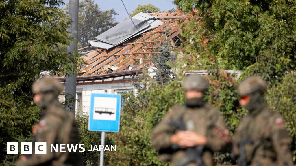 【解説】 故意か偶然か……ロシア無人機によるポーランド領空侵犯 NATOにとっての試練に