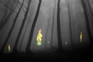 墓場に現れる「青い火の玉」正体が遂に判明...「鬼火」を発生させる、意外なファクターとは（ニューズウィーク日本版）