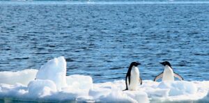 ｢地球を冷やす6つの大作戦｣効果とリスク